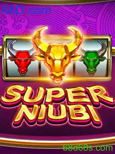 SuperNiubi